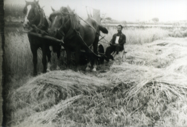 1950_00_00_d_màquina agricola_000076