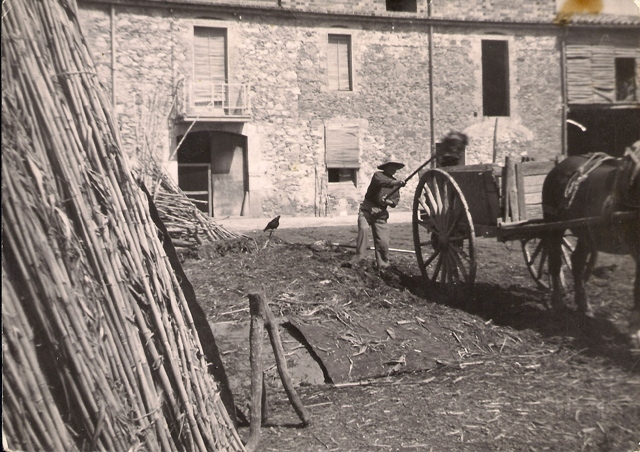 1957_00_00_Agricultura_carregant el carro_000663