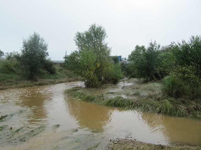 29-09-2014_riera de Sant Martí_000648