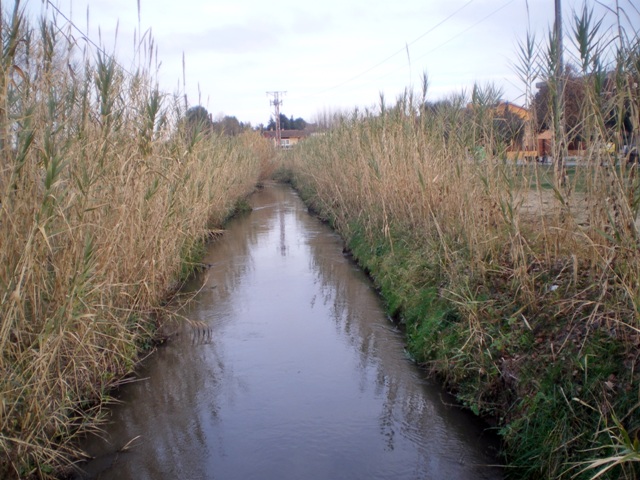 2014_01_01_Sèquia Vinyals_000941