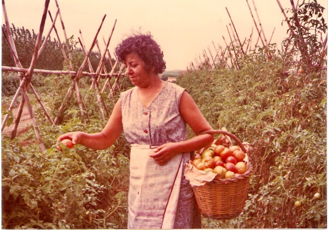 1980_00_00_d_Agricultura_001053