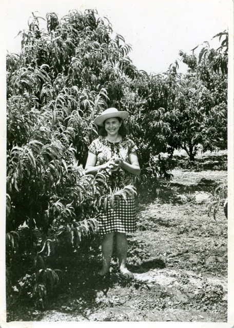 1960_00_00_d_Agricultura_001436